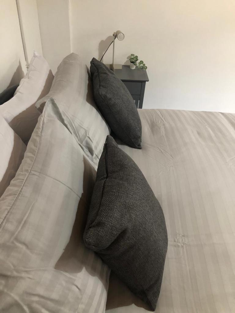 ロンドン Alpha House Bed & Breakfast エクステリア 写真